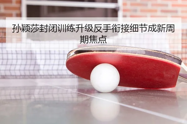 孙颖莎封闭训练升级反手衔接细节成新周期焦点