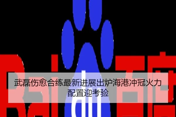 武磊伤愈合练最新进展出炉海港冲冠火力配置迎考验