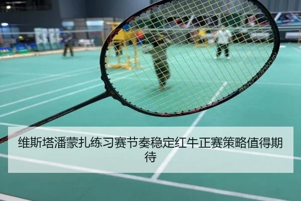 维斯塔潘蒙扎练习赛节奏稳定红牛正赛策略值得期待