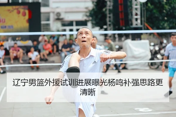 辽宁男篮外援试训进展曝光杨鸣补强思路更清晰